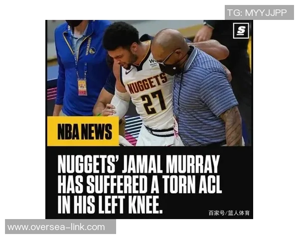 NBA球员职业生涯赛季伤病数据统计与趋势分析研究 NBA球员职业生涯赛季伤病数据统计与趋势分析研究