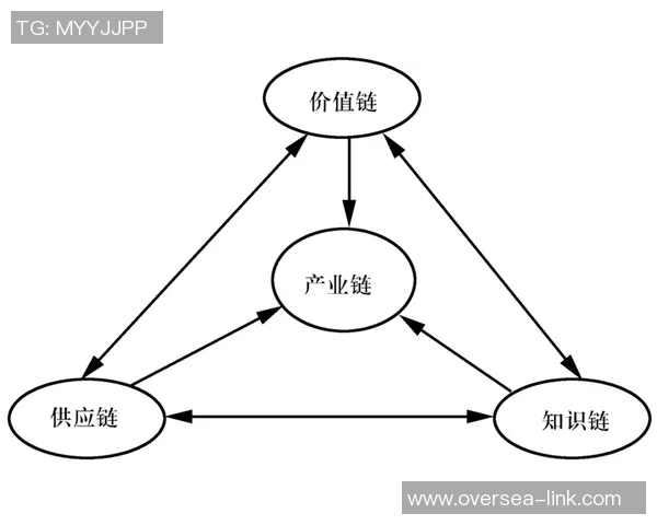 体育产业链深度解析与未来发展趋势及多维度价值重构路径