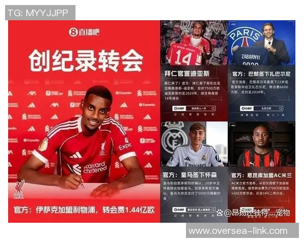 五大联赛新星排行榜