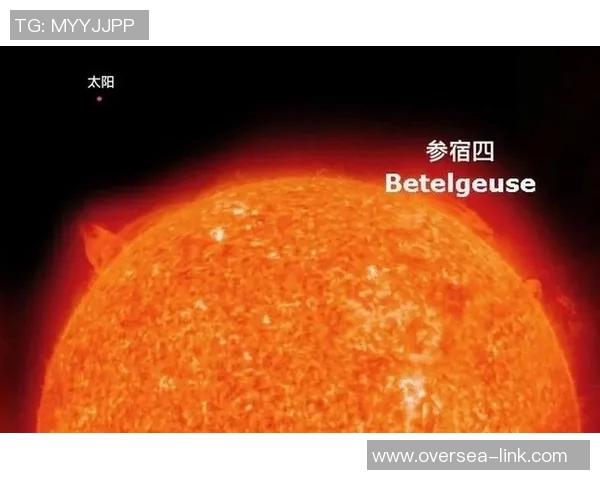 太阳评分揭晓:表现出色还是失常低迷成为热议焦点 太阳评分揭晓:表现出色还是失常低迷成为热议焦点